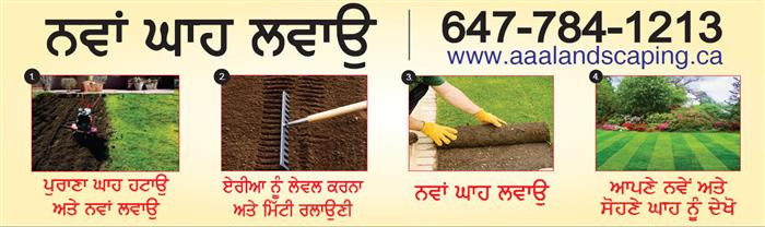 Punjabi Post Advt